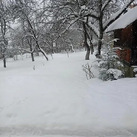 роздоріжжя