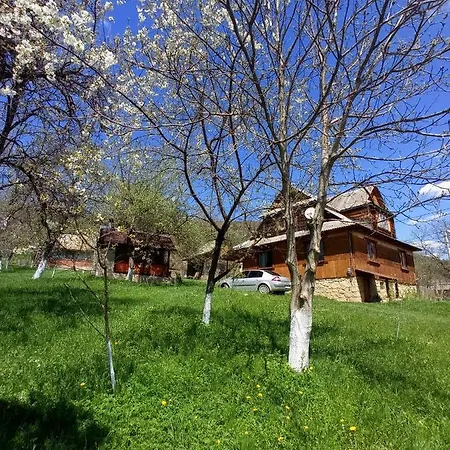 Guest house роздоріжжя