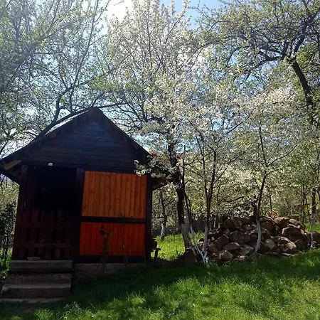 роздоріжжя Yaremche
