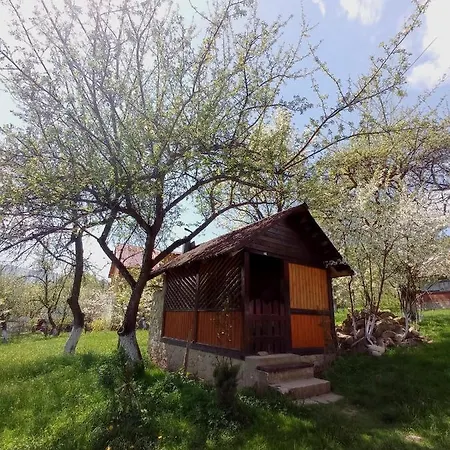 Guest house роздоріжжя