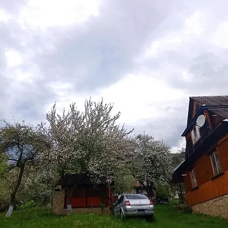 роздоріжжя Guest house