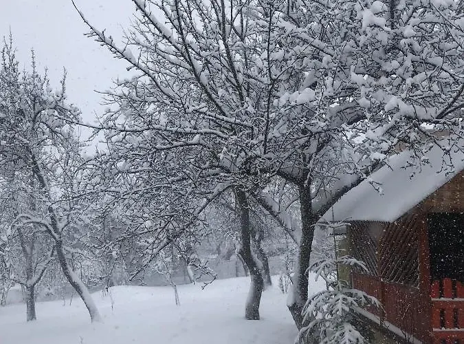 роздоріжжя Konukevi *