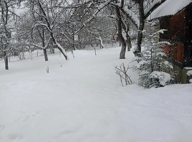 роздоріжжя