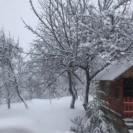 роздоріжжя 게스트하우스 *