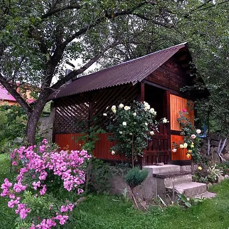 게스트하우스 роздоріжжя