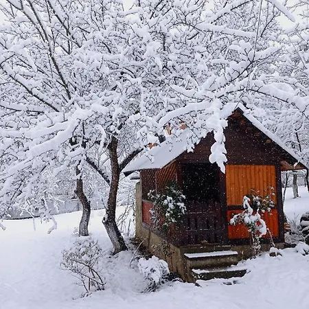 게스트하우스 роздоріжжя 야렘체