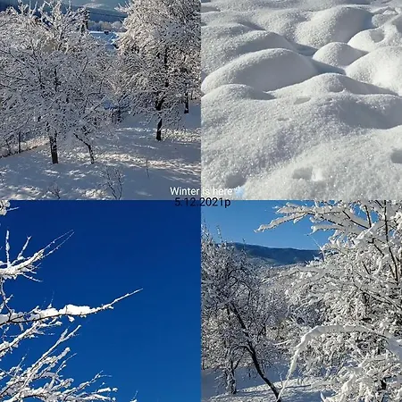 роздоріжжя * 야렘체