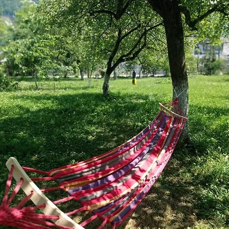 게스트하우스 роздоріжжя *