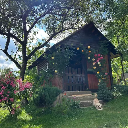 роздоріжжя 게스트하우스 야렘체