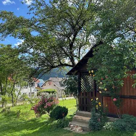 роздоріжжя *